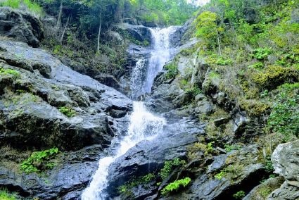 coorg_Irupu Falls_1